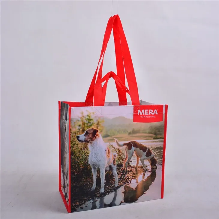 Fair Trade gerecyclede boodschappentassen