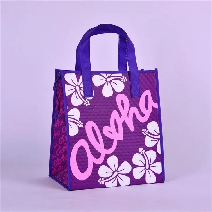 Geïsoleerde lunchtas